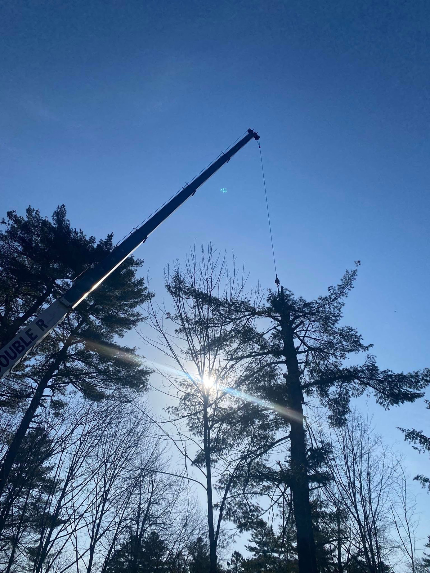 Crane boom rigged over tall pines for a difficult tree removal in Maine